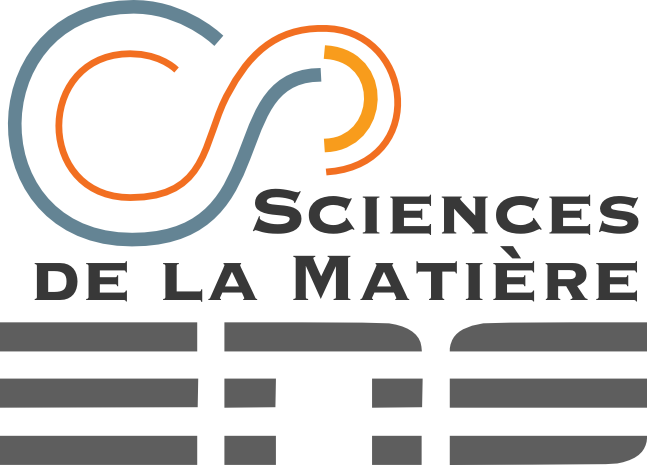 Logo du DSM